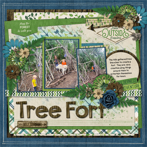 Tree Fort