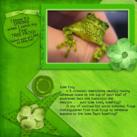 Tree Frogs Make it Real