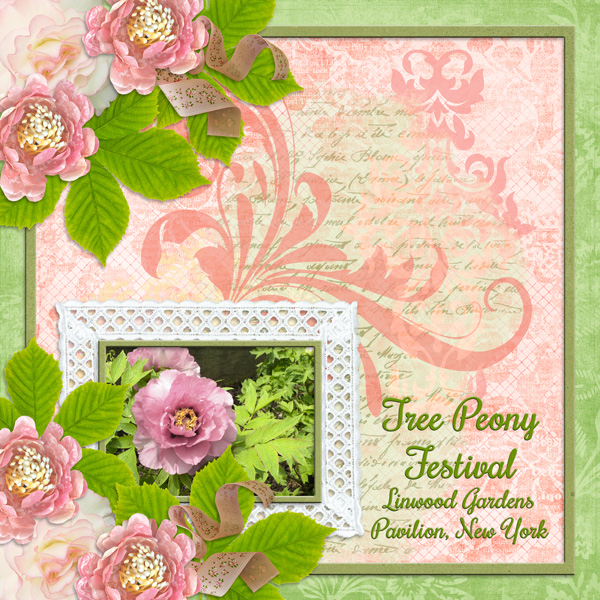 Tree Peony Festival