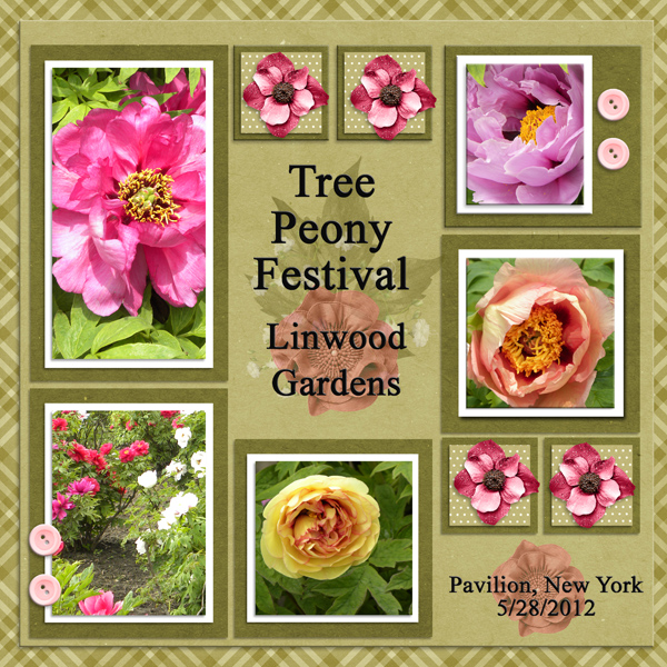 Tree Peony Festival