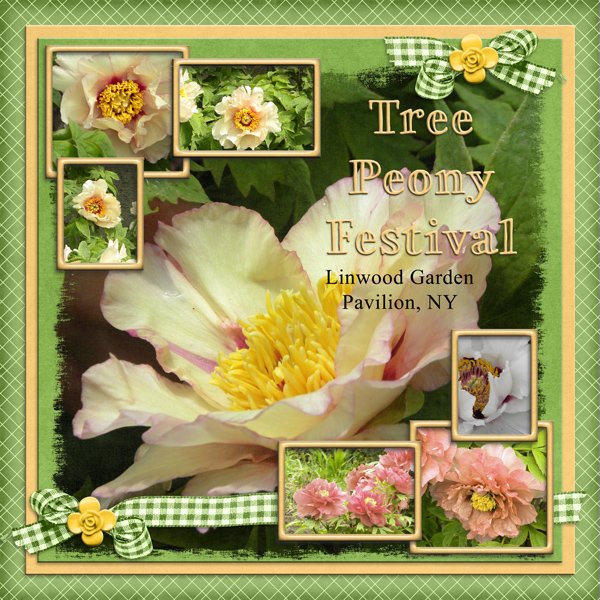 Tree Peony Garden