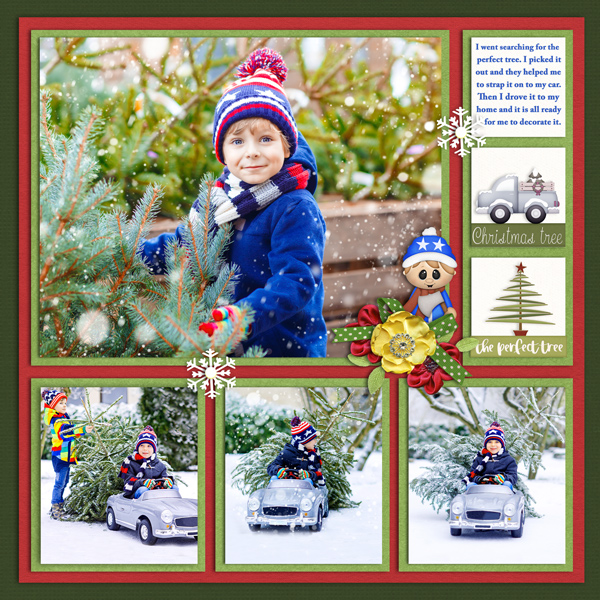 Tree shopping