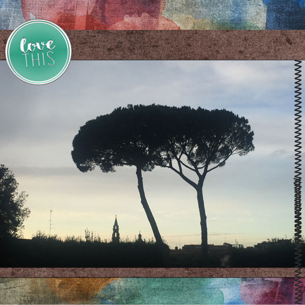 Tree Silhouette