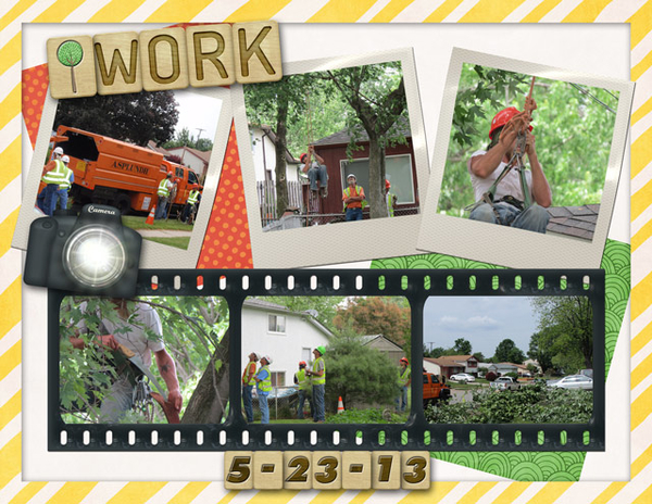 Tree Work 5-23-13