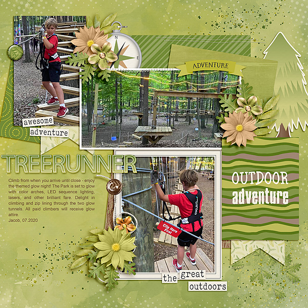 TreeRunner (1)