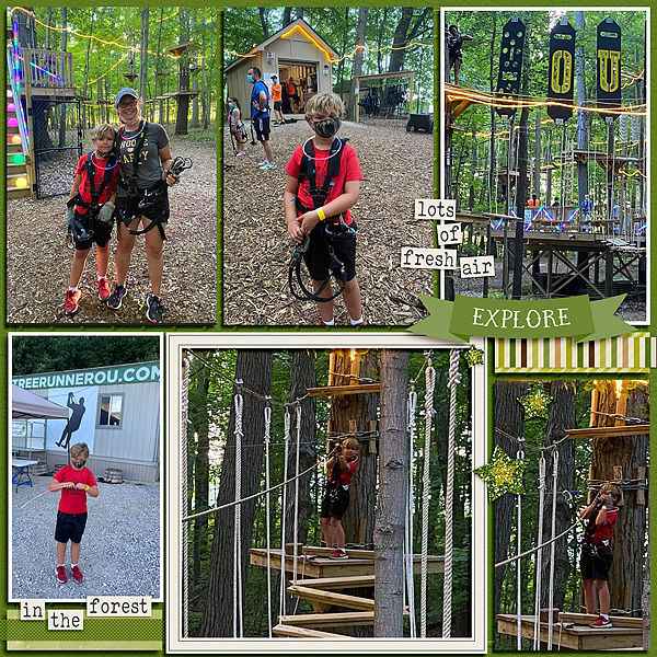TreeRunner (2)