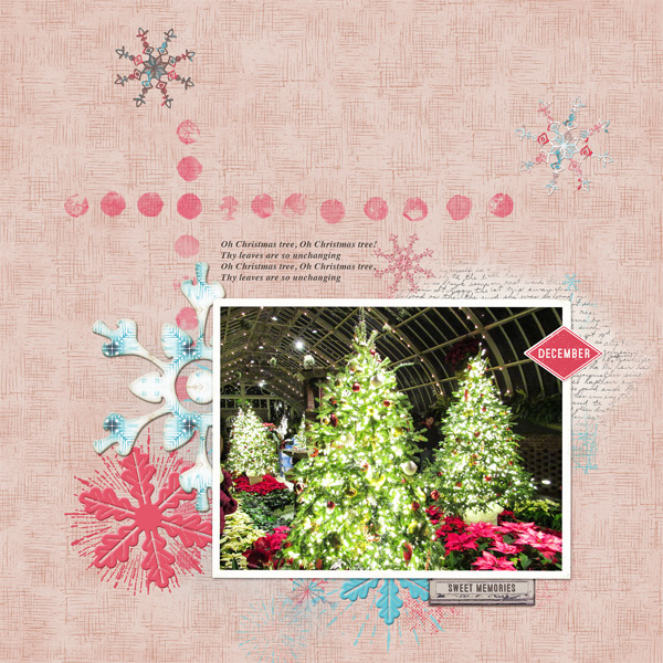 Trees at Phipps Conservatory