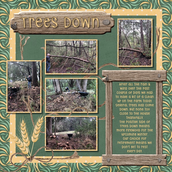 Trees Down