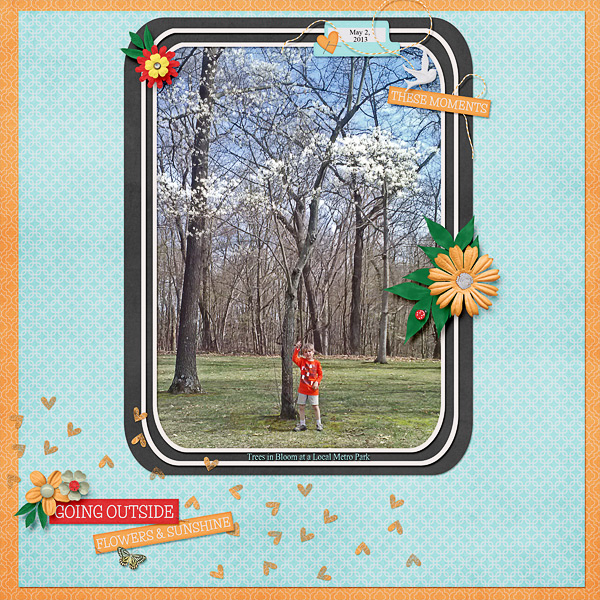 Trees in Bloom
