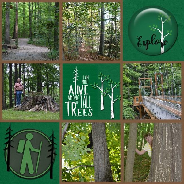 Trees