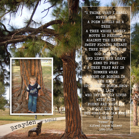 Trees