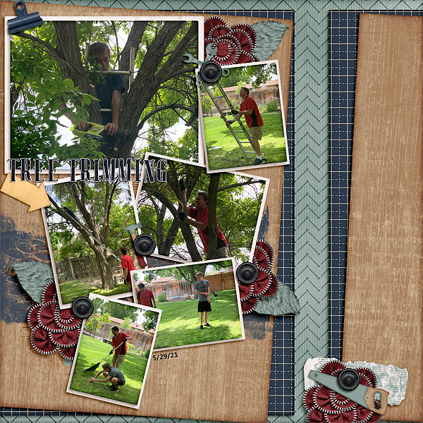 TreeTrimming2
