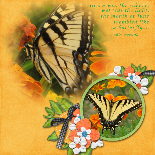 Trembled like a butterfly