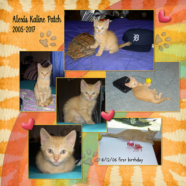 Tribute to Kaline, page 1