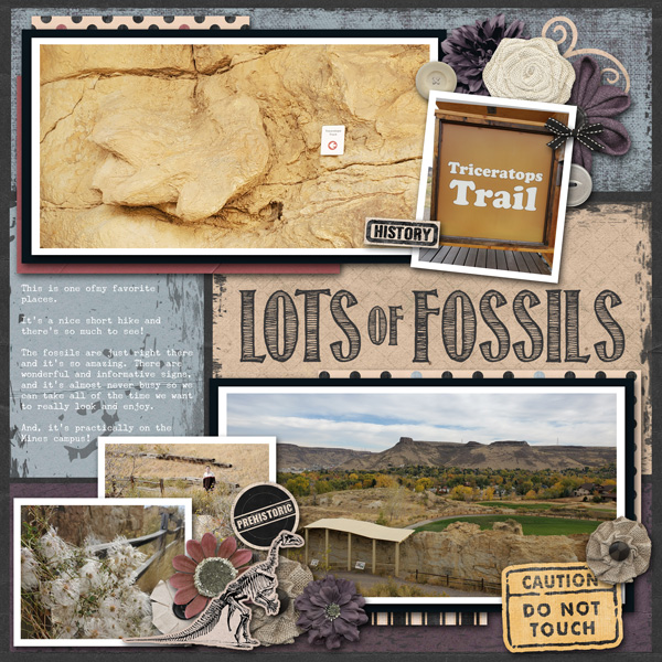Triceratops Trail