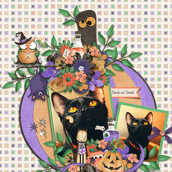 Trick or Treat