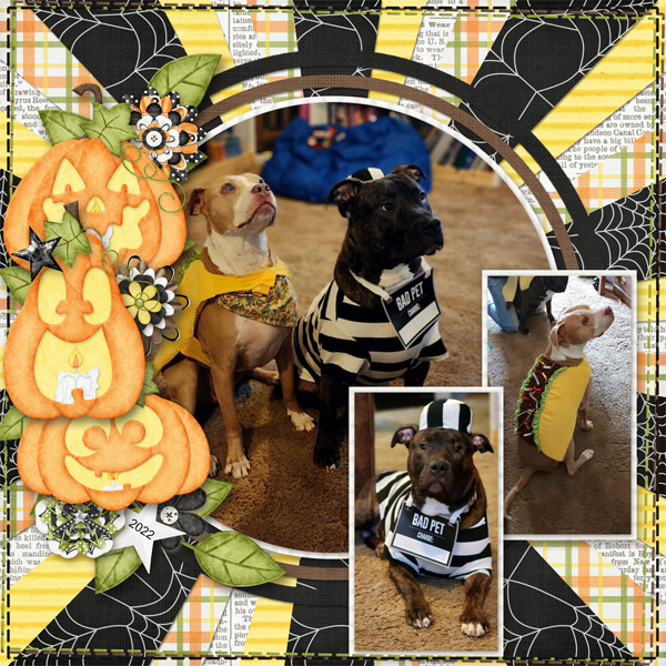 Trick or Treat