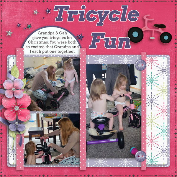 Tricycle_Fun_R