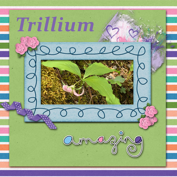 Trillium
