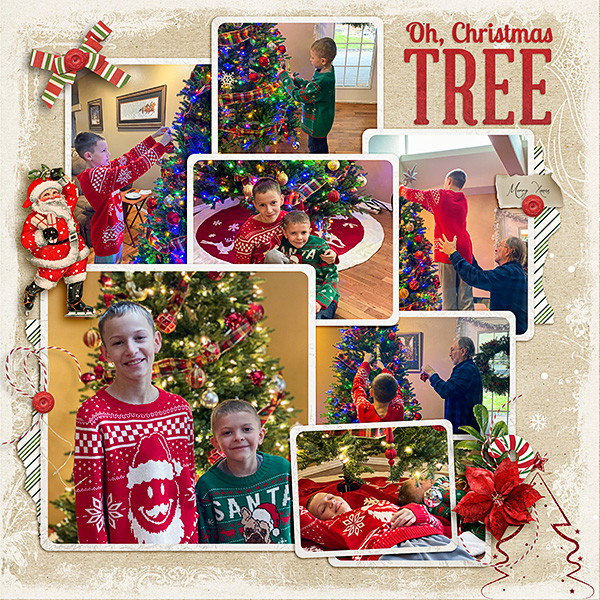 Trim-the-Tree