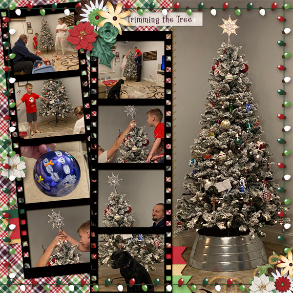 Trimming The Tree
