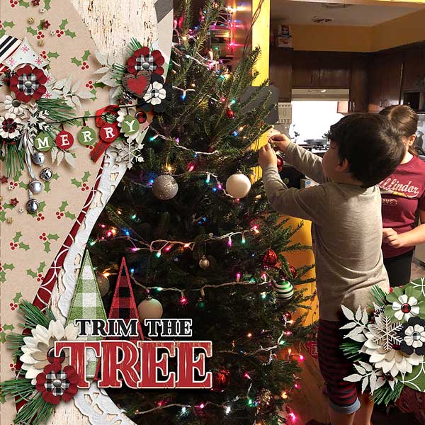 trimtree2018