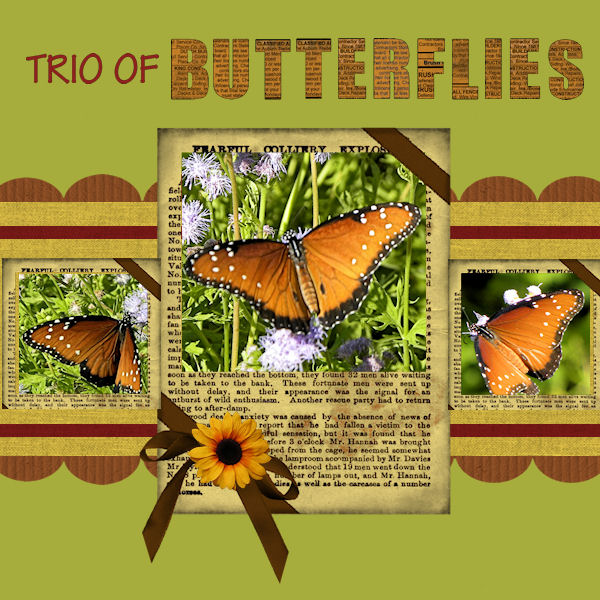 Trio of Butterflies