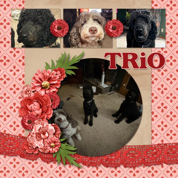 Trio