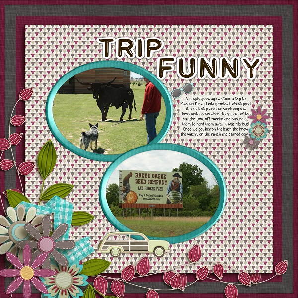 Trip Funny