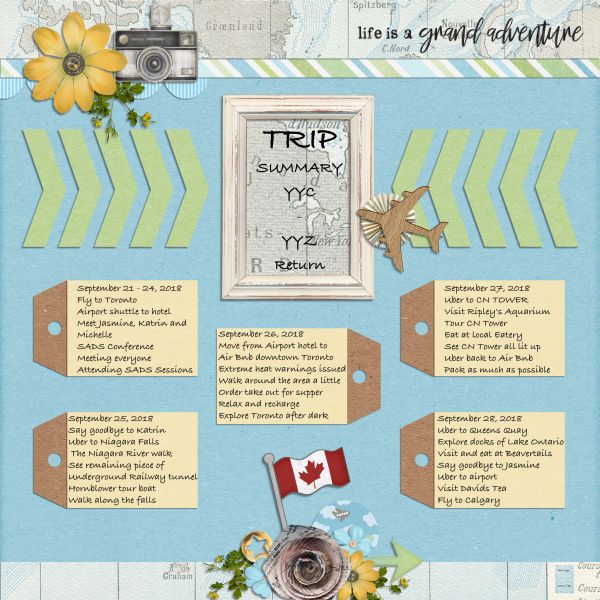 Trip Summary