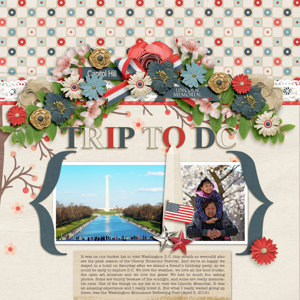 Trip To DC