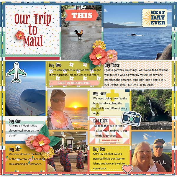 Trip To Maui