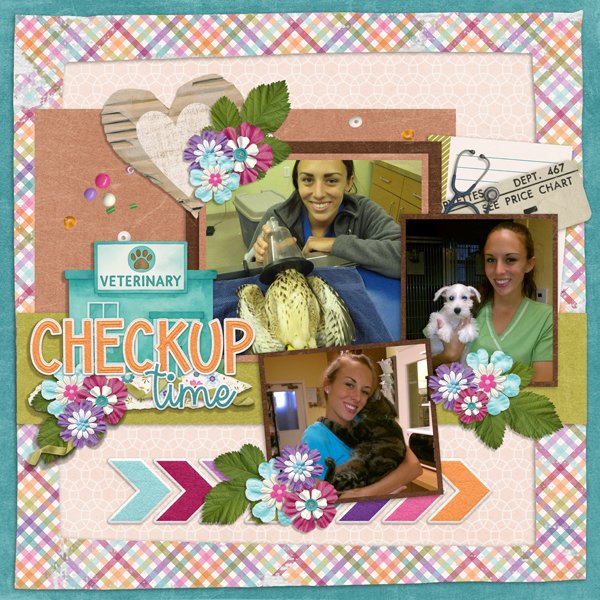 Trip To The Vet-Connie Prince.jpg