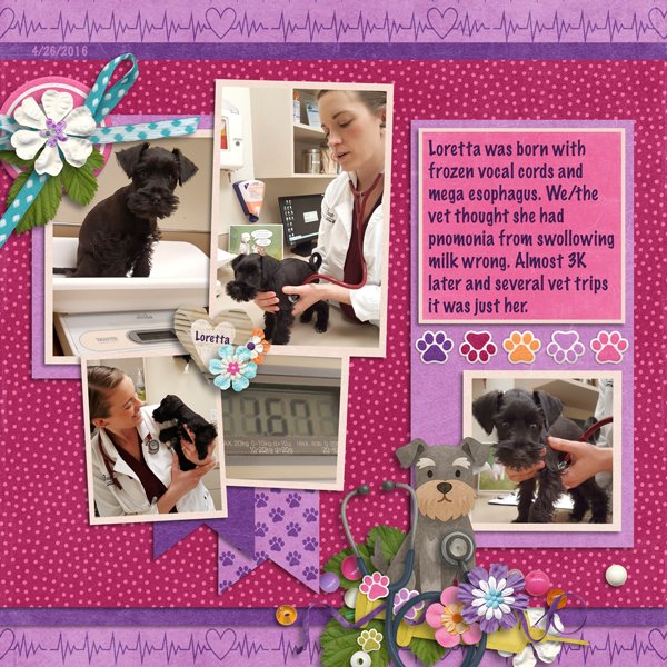 Trip-to-the-vet-the-jive-five-vol-10-3-2016.jpg