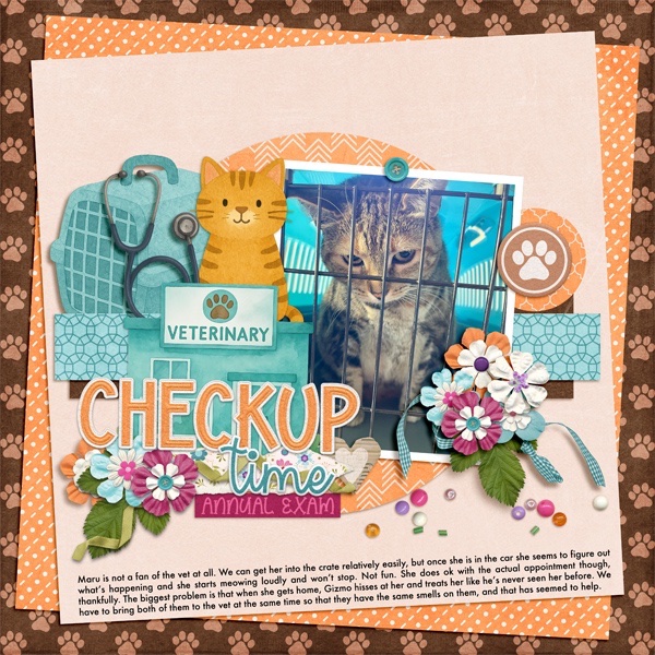 Trip to the Vet