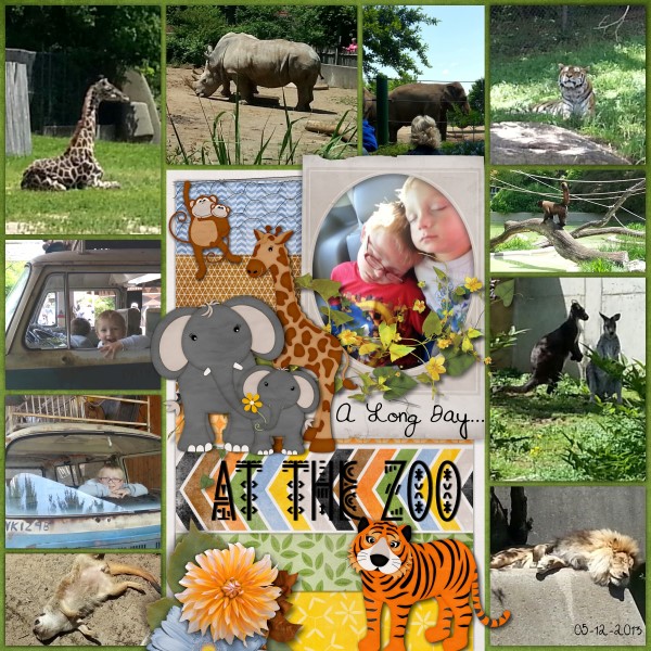 Trip To The Zoo