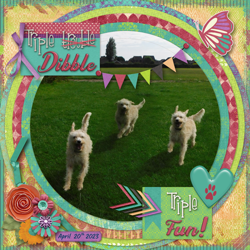 Triple Dibble
