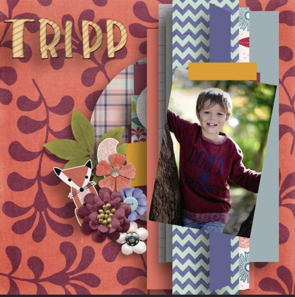 Tripp