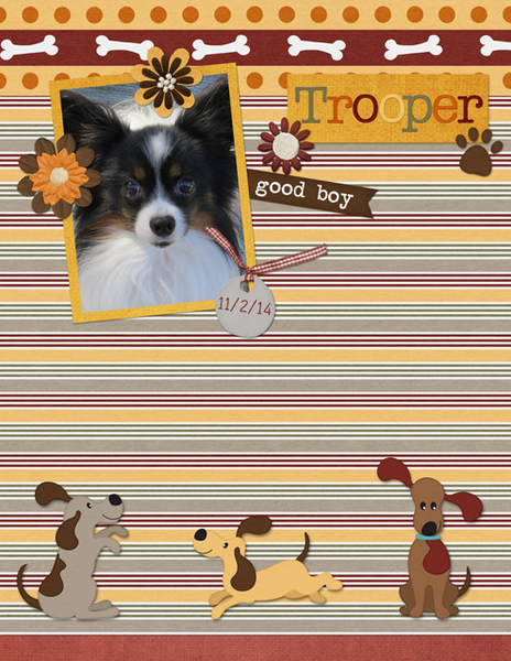 Trooper 11-2-14