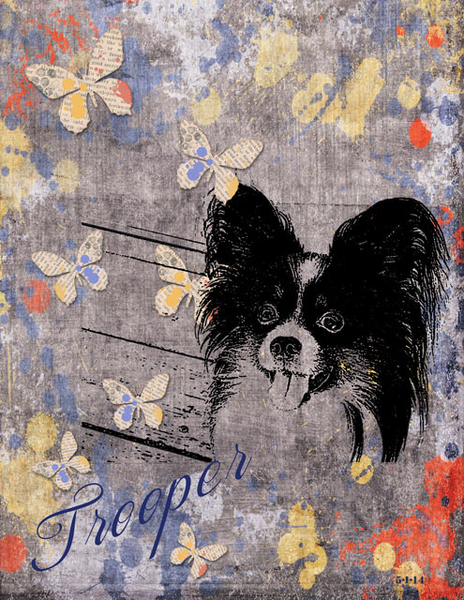 Trooper 5-1-14