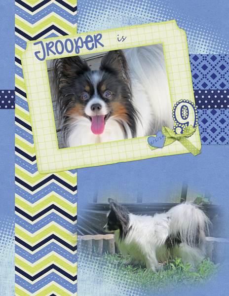 Trooper is 9