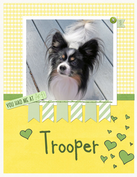 Trooper