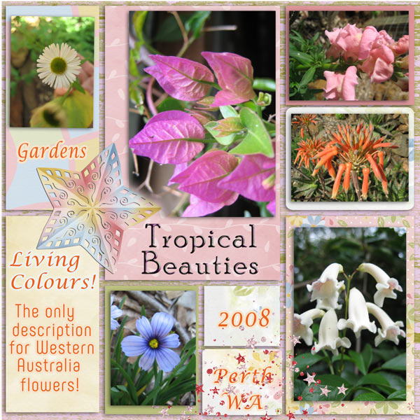 Tropical Beauties
