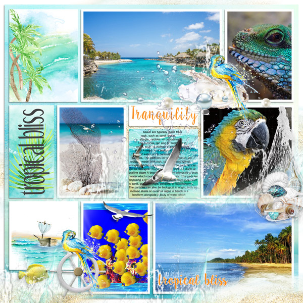 Tropical Bliss