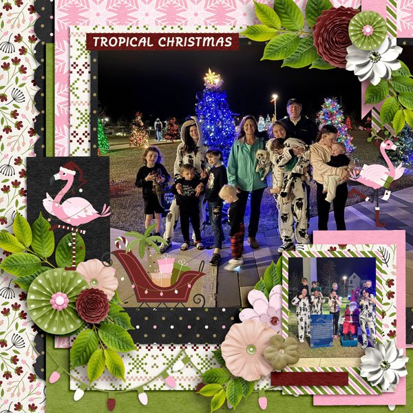 Tropical Christmas
