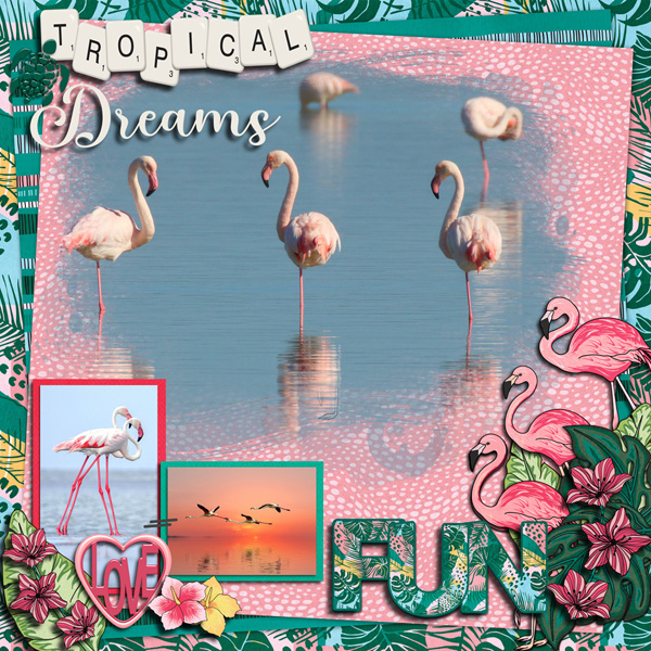 Tropical Dreams