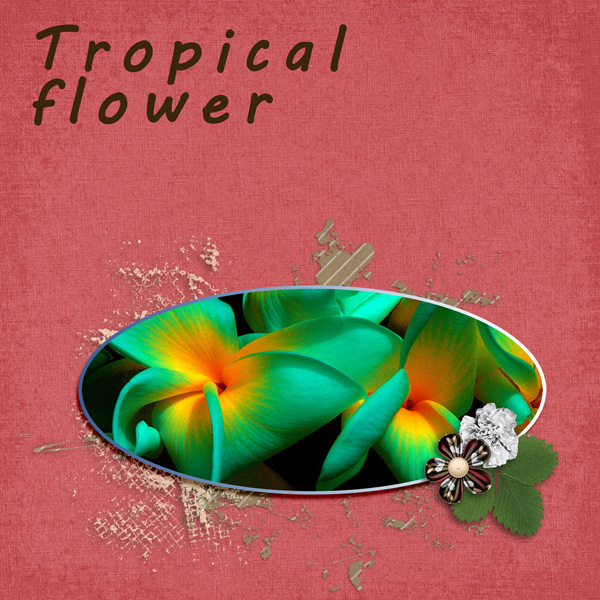 Tropical flower