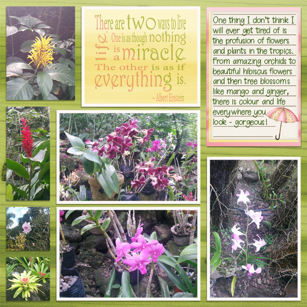 Tropical Flowers