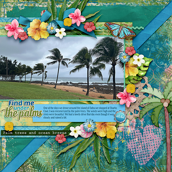 Tropical Hideaway