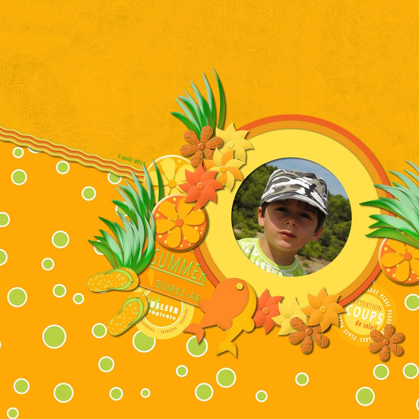 Tropical Holidays Album - 2011